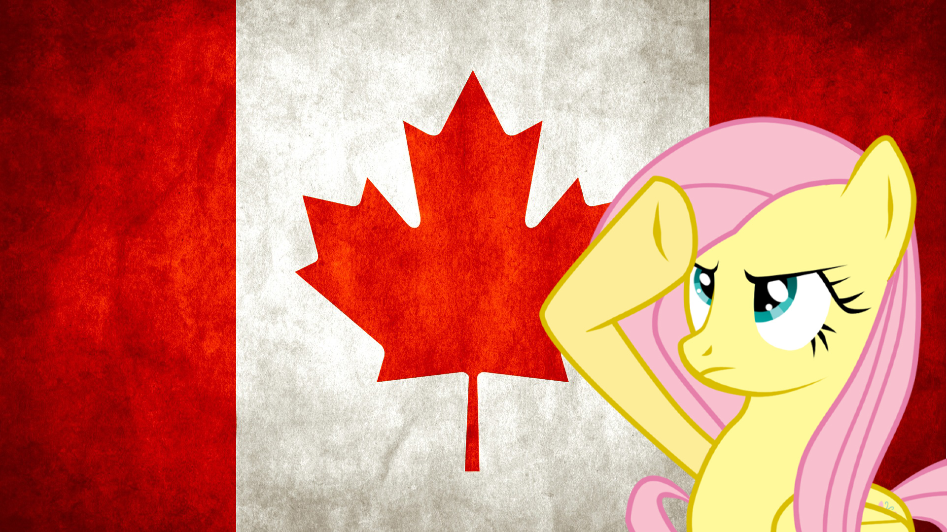 Canada Salute - Fluttershy by midnite99