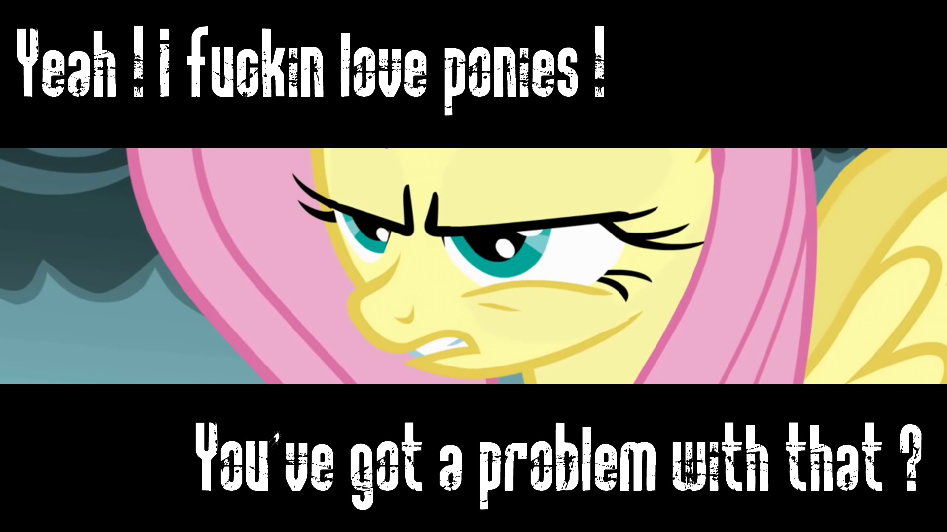 Yeah ! I Fuckin love ponies ! by DjChapica