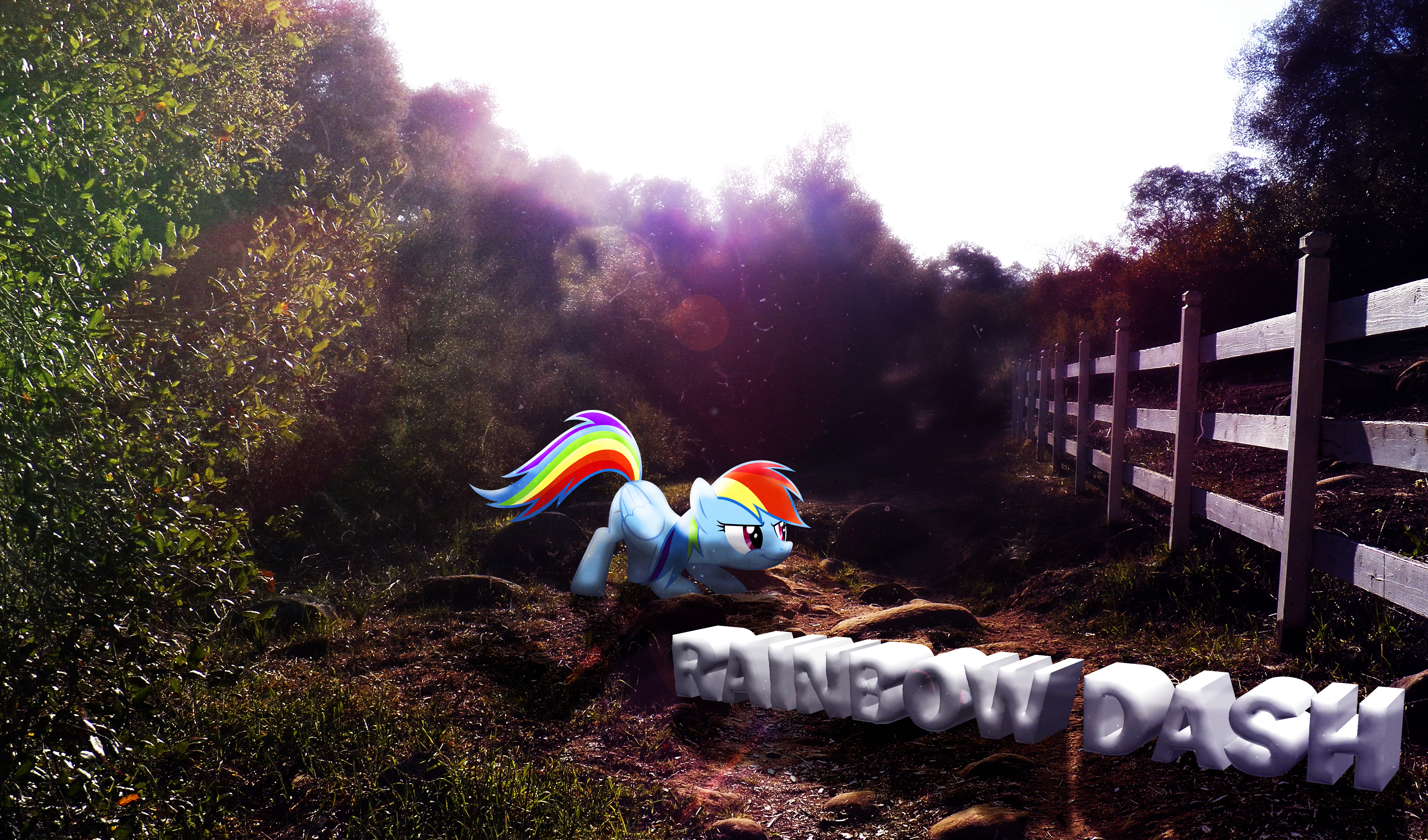 Rainbow Dash Nature Wallpaper by DrFluttershy and InternationalTCK