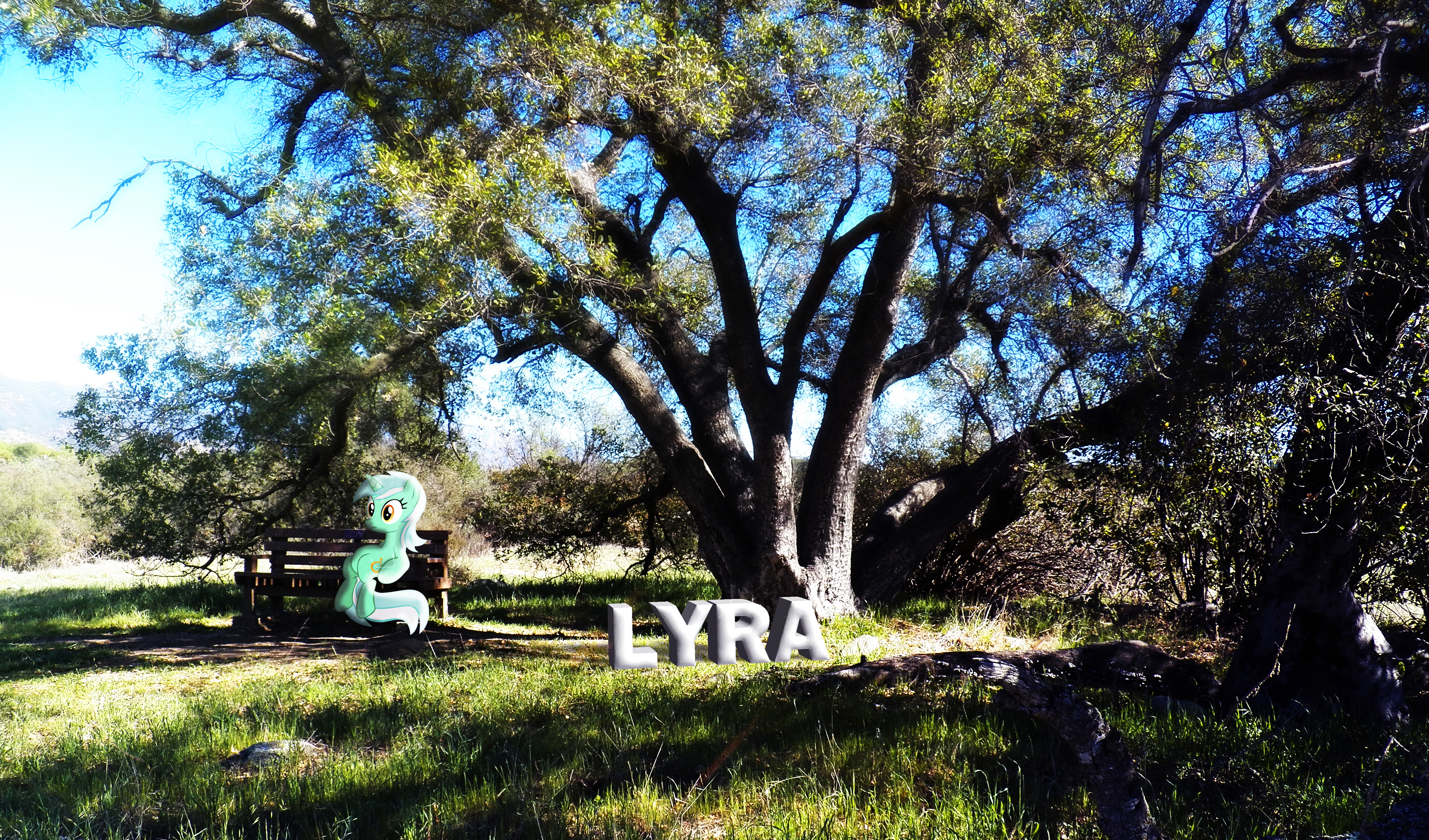 Lyra Nature Wallpaper by InternationalTCK and Stinkehund