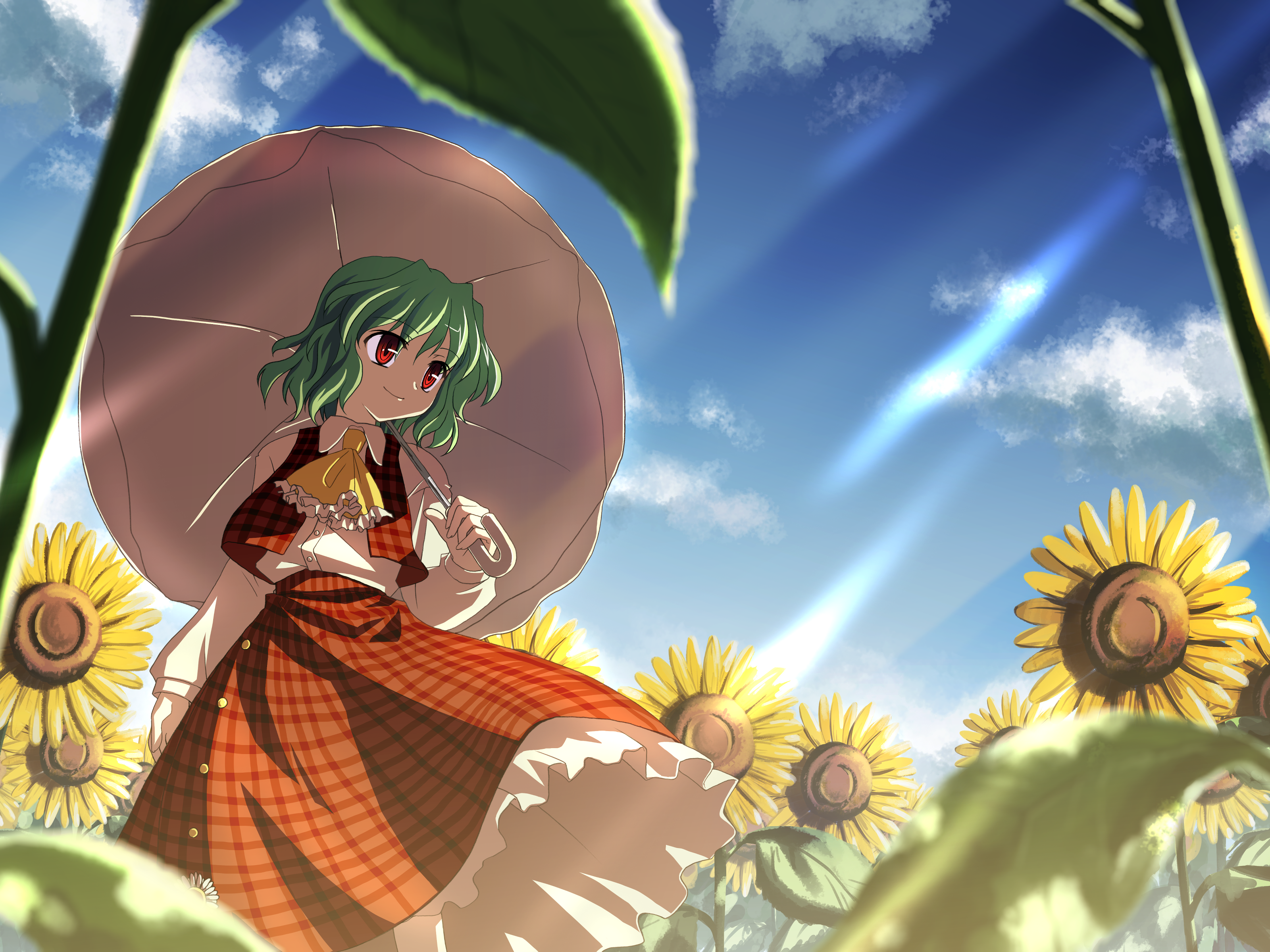 Kazami Yuuka by uki