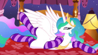 Socks for Princess Celestia