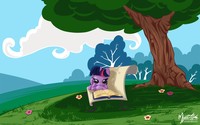Twilight Sparkle Reading