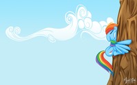 Rainbow Dash Mountain