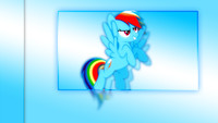 Rainbow Dash Wallpaper