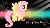 Fluttershy Wallpaper
