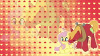 Fluttershy x Big Macintosh Wallpaper