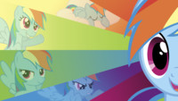 Dashie New Wallpaper