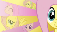 Fluttershy Wallpaper