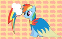 Rainbow Dash Cloak WP