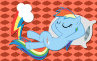 Rainbow Dash WP 13