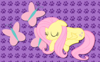 Fluttershy WP 13