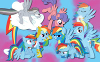 Dashie Everywhere WP