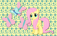Fluttershy and Butterfly WP