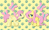 Butterscotch and Fluttershy WP