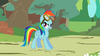 Rainbow Dash is Serious Now!