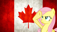 Canada Salute - Fluttershy