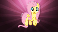 Fluttershy Wallpaper