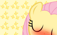 Be My Special Some pony Fluttershy WP