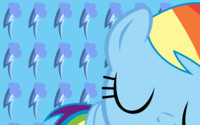 Be My Special Some pony Dashie WP