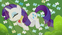 In Memory of Rarity