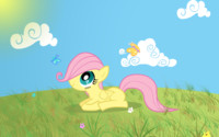 Filly Fluttershy Lying Down Wallpaper