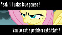 Yeah ! I Fuckin love ponies !