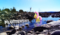 Fluttershy Nature Wallpaper