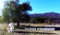 Nurse Redheart Nature Wallpaper