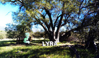 Lyra Nature Wallpaper