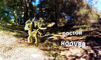 Doctor Hooves Nature Wallpaper