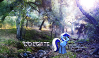 Colgate Nature Wallpaper