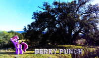 Berry Punch Nature wallpaper