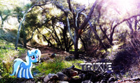 Trixie Nature Wallpaper