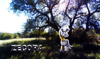 Zecora Nature Wallpaper