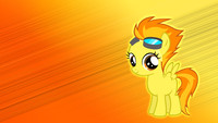 Filly Spitfire Wallpaper