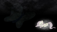 This Butterfly Scares Fluttershy - Wallpaper