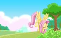Fluttershy Flower
