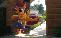 Scoot Scoot Scootaloo