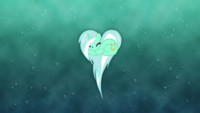 Lyra Pony Heart Wallpaper