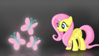 Fluttershy wallpaper 1920x1080