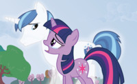 Shining Armor and Twilight B.B.B.F.F.