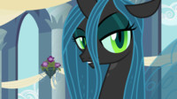 Chrysalis : The beautiful ruler