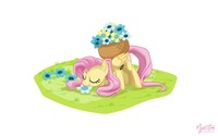 Fluttershy - Flower Picking