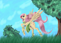 Fluttershy