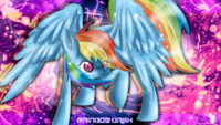 Rainbow Dash Wallpaper