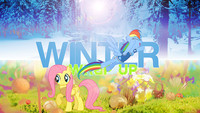 Winter Flutter Dash