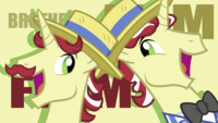 Pony Faces: Flim Flam Brothers