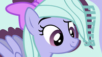 Pony Faces: Flitter