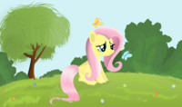 Why so sad, Fluttershy?